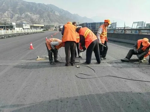 金湾道路桥梁病害治理